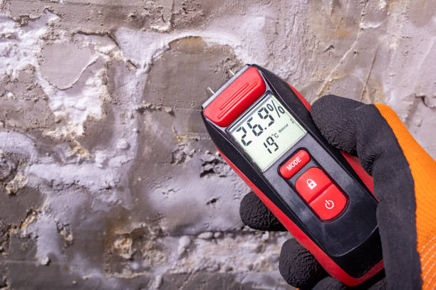 Best Attic Mold Removal  in Hampton Bays, NY