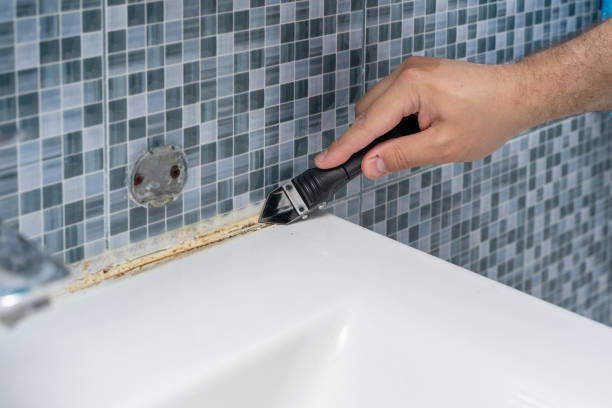 Best Fast Mold Removal  in Hampton Bays, NY