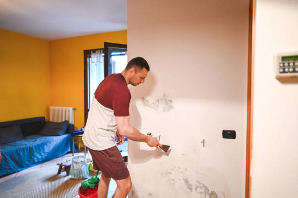 Best Mold Removal Company Near Me  in Hampton Bays, NY